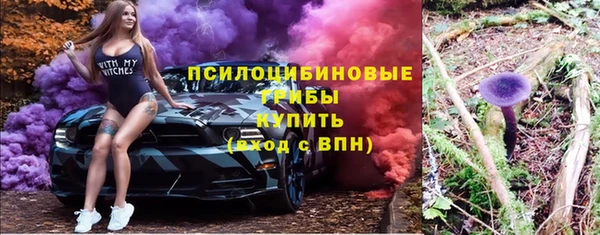 прущая мука Козловка
