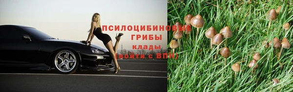 бошки Козельск