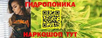 эйфоретик Бузулук