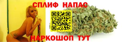 дживик Жуковский