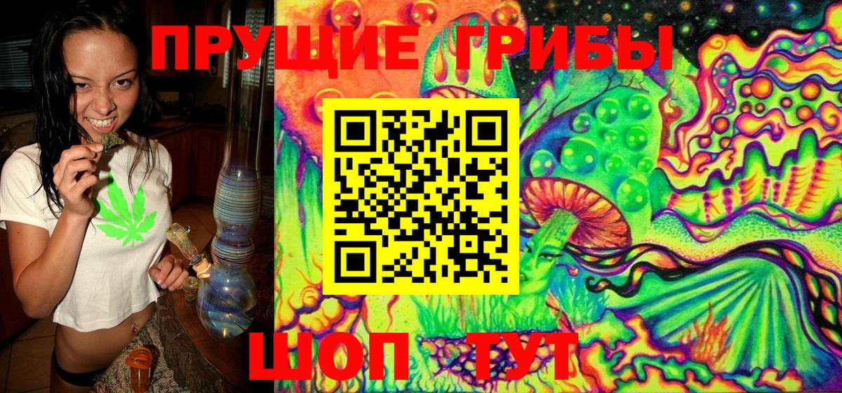 Галлюциногенные грибы Magic Shrooms Кемерово