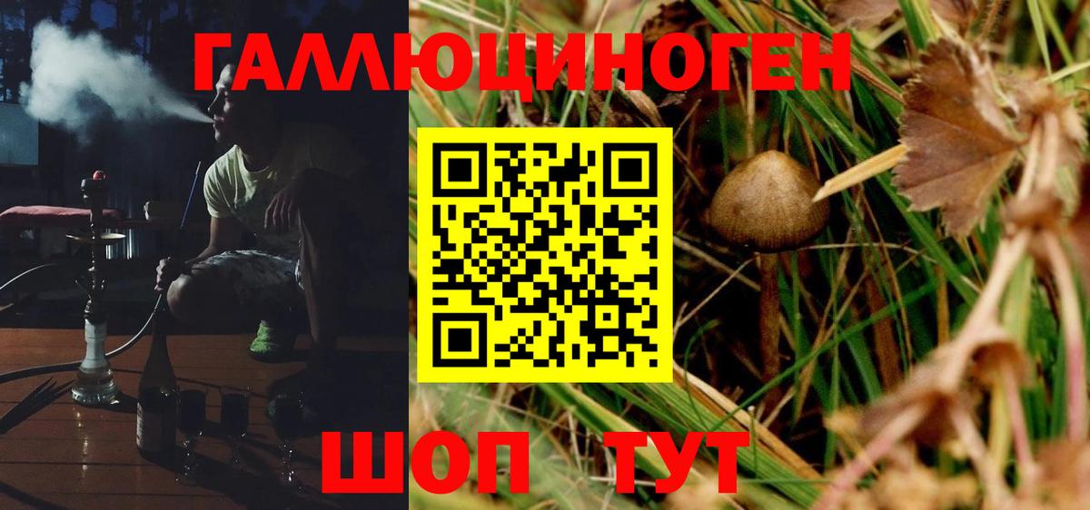 Псилоцибиновые грибы Psilocybine cubensis  что такое наркотик  Галлюциногенные грибы Psilocybe  Кемерово 