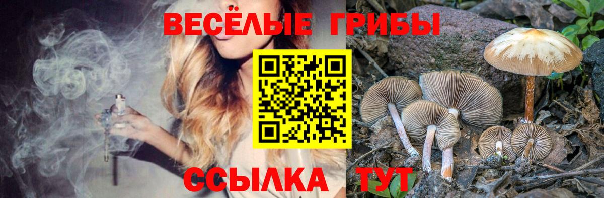Кемерово  Псилоцибиновые грибы Magic Shrooms  Вход с VPN 
