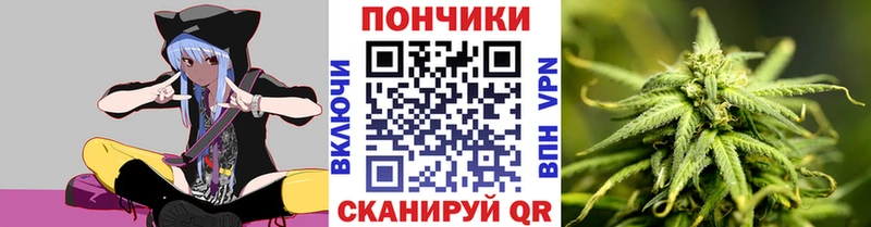 Шишки марихуана OG Kush  купить наркотики сайты  omg онион  Кемерово 